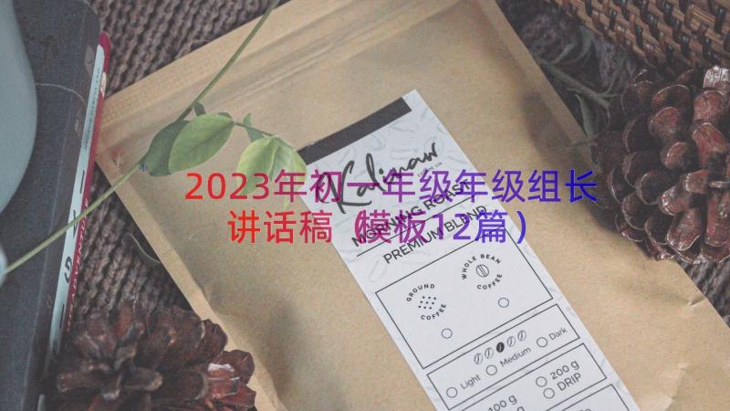 2023年初一年级年级组长讲话稿（模板12篇）