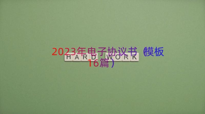 2023年电子协议书（模板16篇）