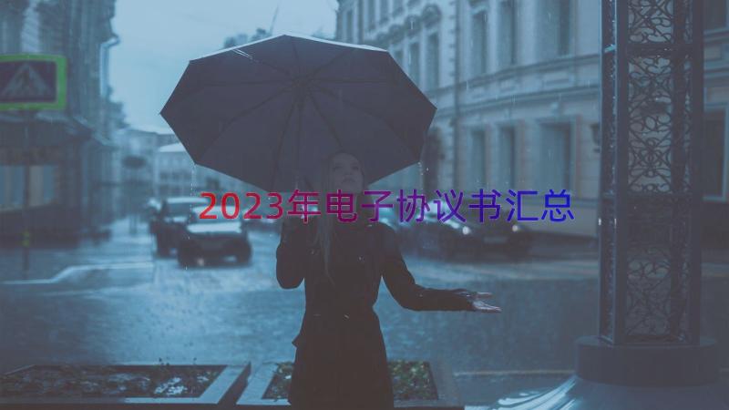 2023年电子协议书（汇总15篇）