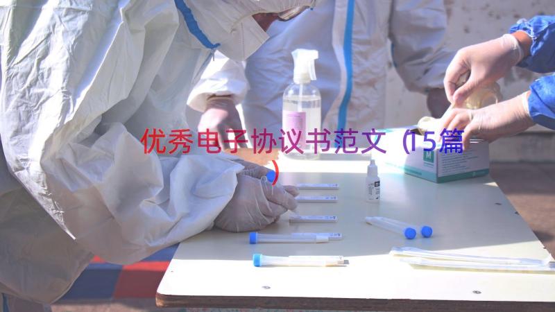 优秀电子协议书范文（15篇）