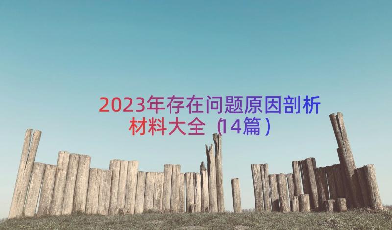 2023年存在问题原因剖析材料大全（14篇）