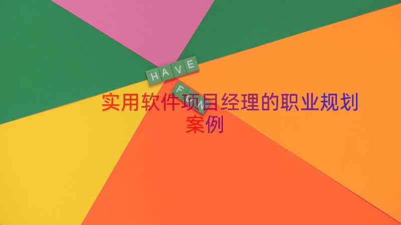 实用软件项目经理的职业规划（案例13篇）