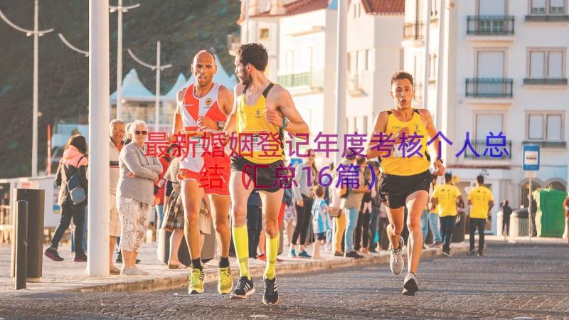 最新婚姻登记年度考核个人总结（汇总16篇）