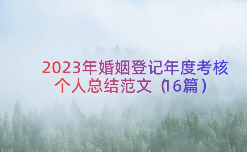 2023年婚姻登记年度考核个人总结范文（16篇）