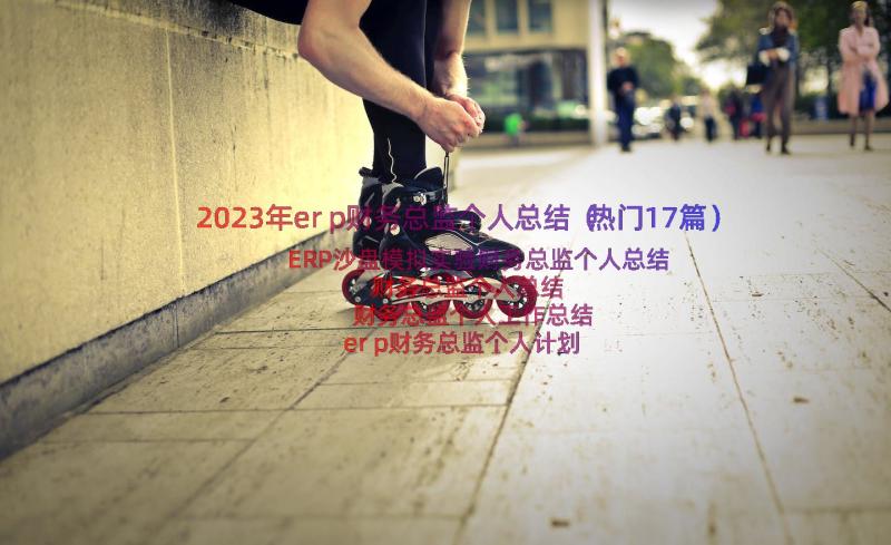 2023年erp财务总监个人总结（热门17篇）