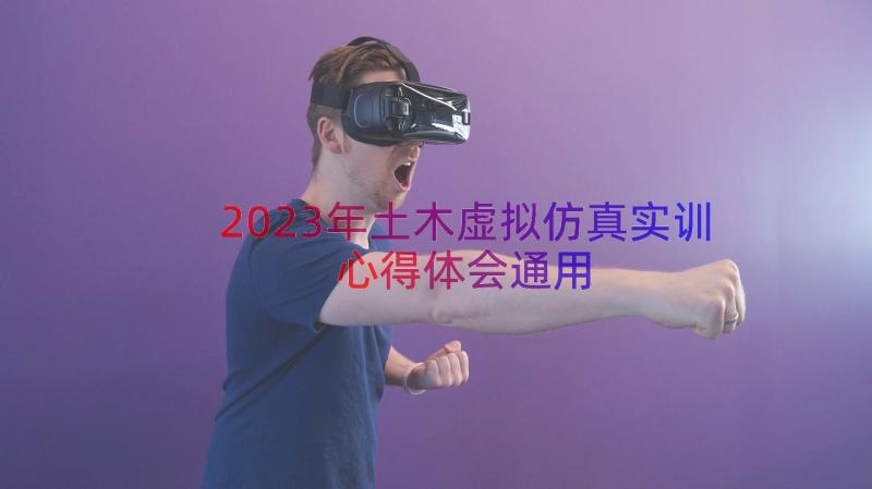 2023年土木虚拟仿真实训心得体会（通用15篇）