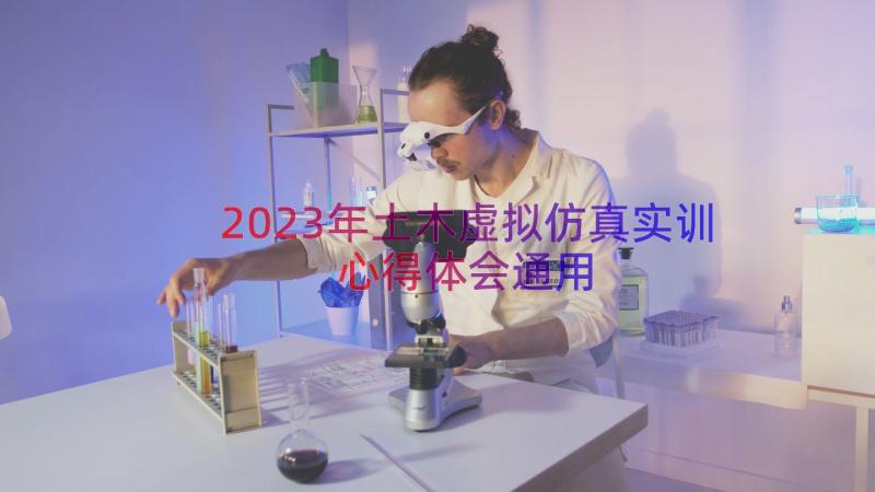 2023年土木虚拟仿真实训心得体会（通用17篇）