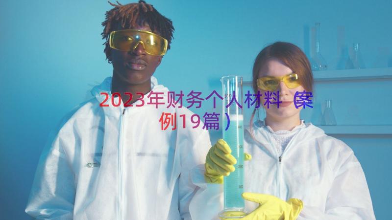 2023年财务个人材料（案例19篇）