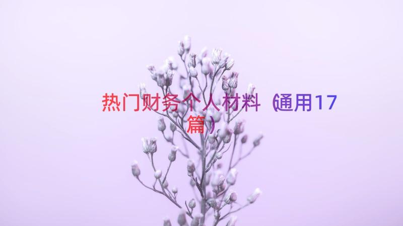 热门财务个人材料（通用17篇）