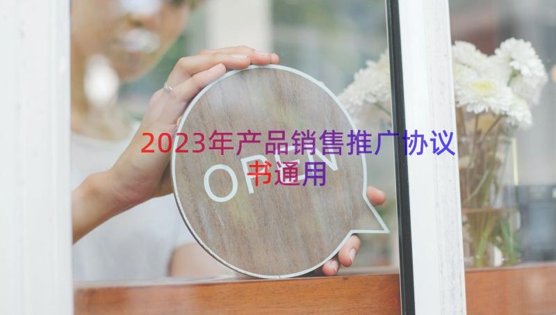 2023年产品销售推广协议书（通用13篇）