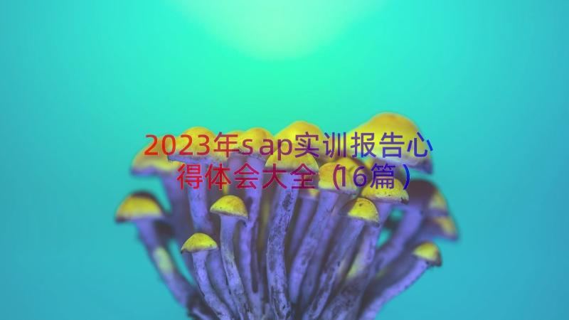 2023年sap实训报告心得体会大全（16篇）