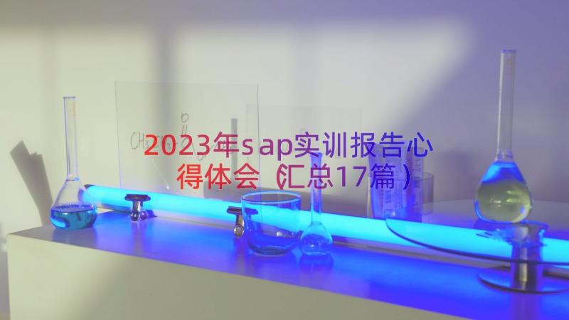 2023年sap实训报告心得体会（汇总17篇）