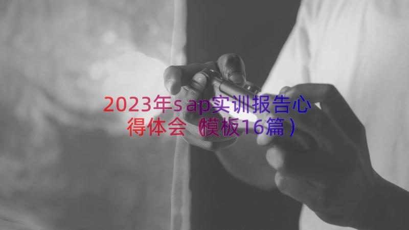 2023年sap实训报告心得体会（模板16篇）