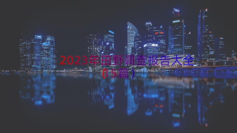 2023年田野调查报告大全（15篇）