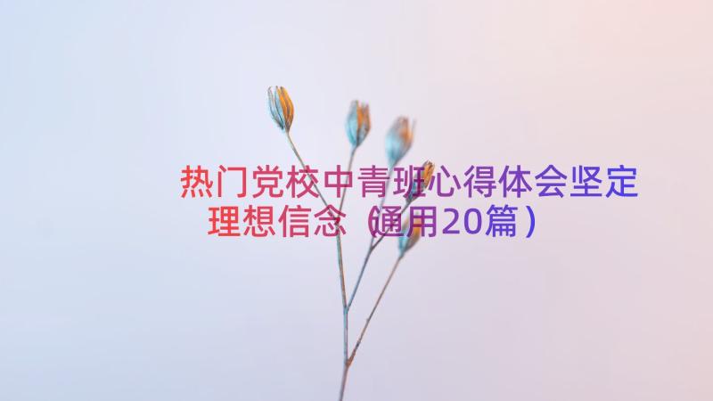 热门党校中青班心得体会坚定理想信念（通用20篇）