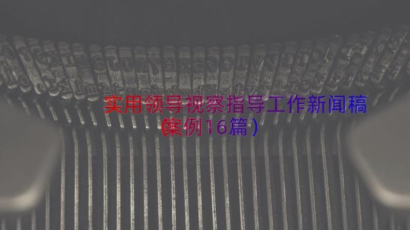 实用领导视察指导工作新闻稿（案例16篇）