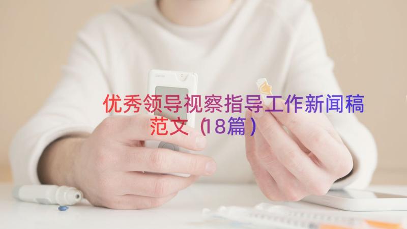 优秀领导视察指导工作新闻稿范文（18篇）