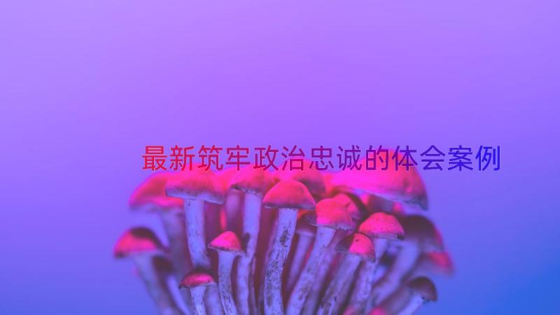 最新筑牢政治忠诚的体会（案例13篇）