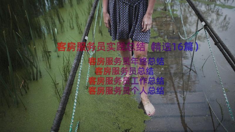 客房服务员实践总结（精选16篇）