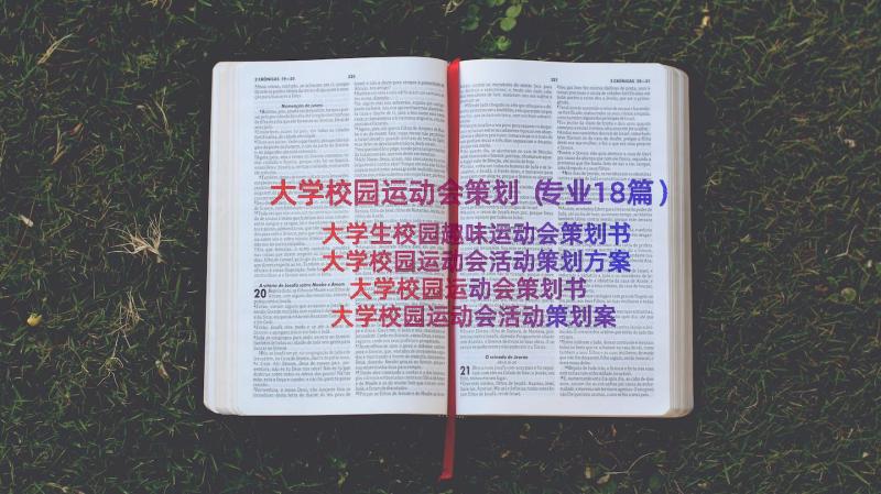 大学校园运动会策划（专业18篇）