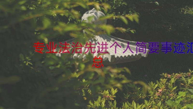 专业法治先进个人简要事迹（汇总16篇）