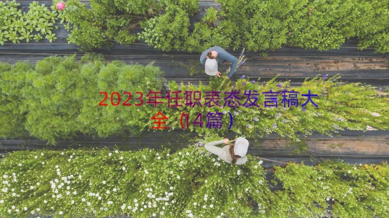 2023年任职表态发言稿大全（14篇）