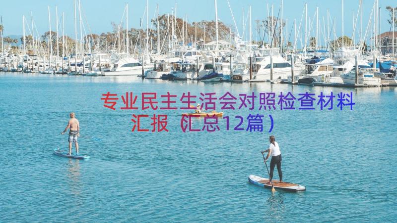 专业民主生活会对照检查材料汇报（汇总12篇）