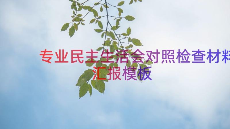 专业民主生活会对照检查材料汇报（模板15篇）