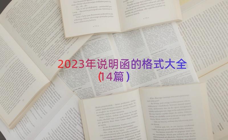 2023年说明函的格式大全（14篇）