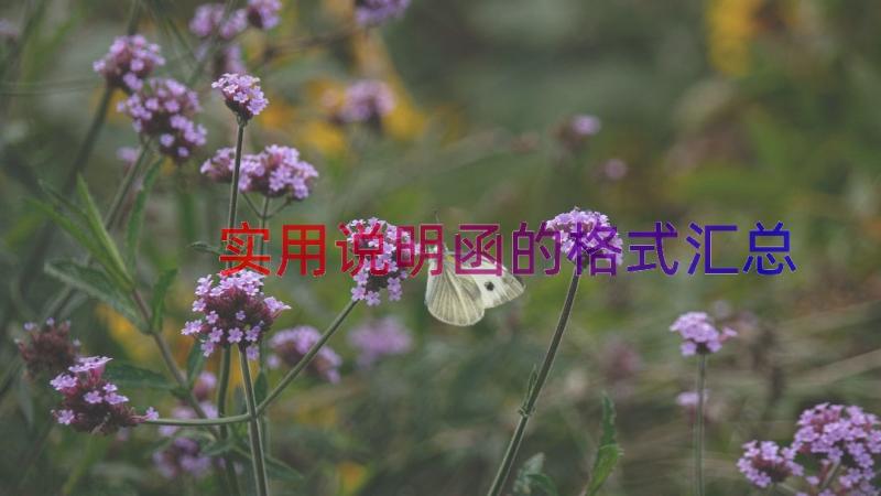 实用说明函的格式（汇总14篇）