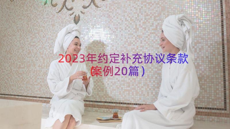 2023年约定补充协议条款（案例20篇）