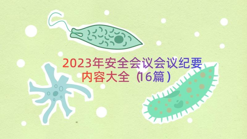 2023年安全会议会议纪要内容大全（16篇）