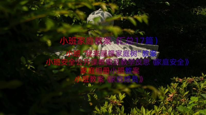 小班家庭教案（汇总17篇）