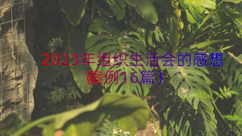 2023年组织生活会的感想（案例16篇）