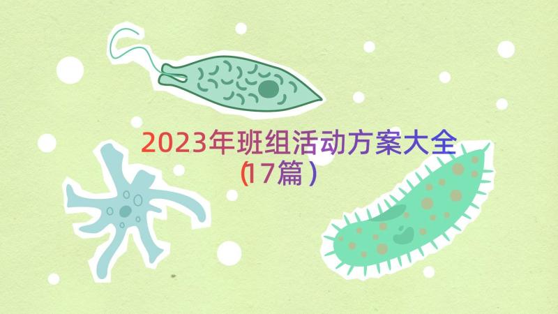 2023年班组活动方案大全（17篇）