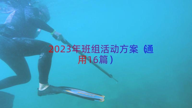 2023年班组活动方案（通用16篇）