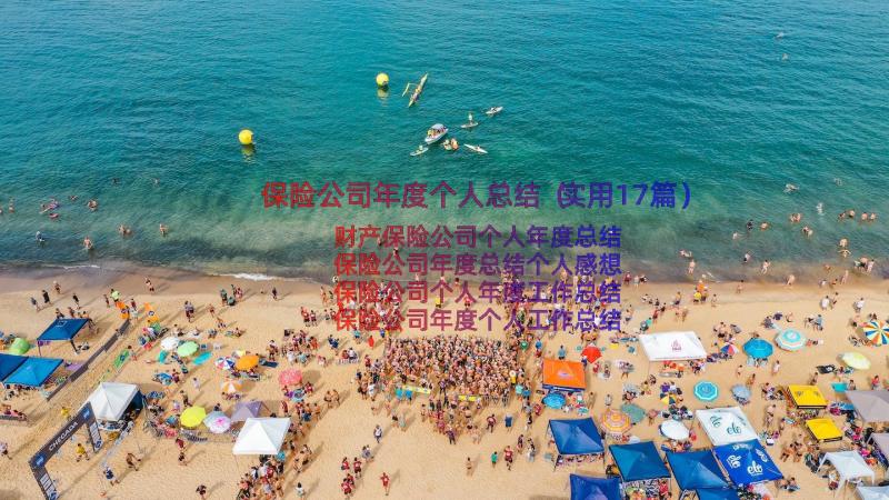 保险公司年度个人总结（实用17篇）