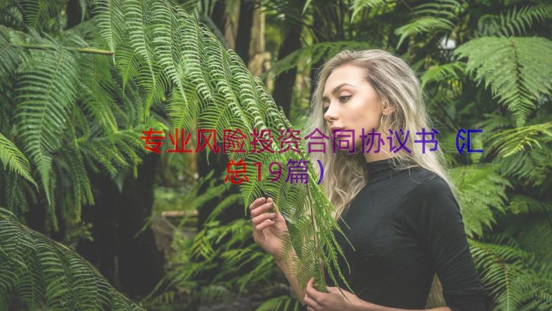 专业风险投资合同协议书（汇总19篇）