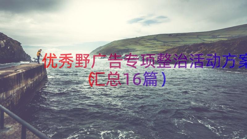 优秀野广告专项整治活动方案（汇总16篇）