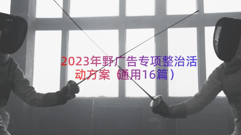 2023年野广告专项整治活动方案（通用16篇）