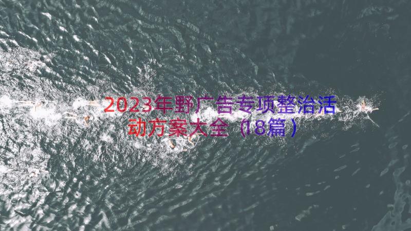 2023年野广告专项整治活动方案大全（18篇）