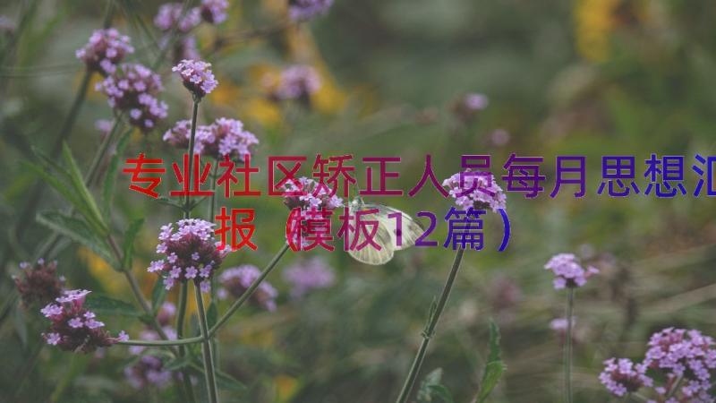 专业社区矫正人员每月思想汇报（模板12篇）