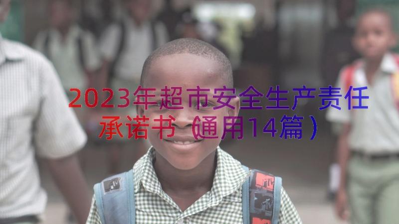 2023年超市安全生产责任承诺书（通用14篇）