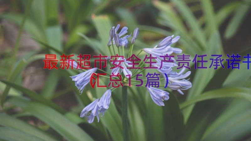 最新超市安全生产责任承诺书（汇总15篇）