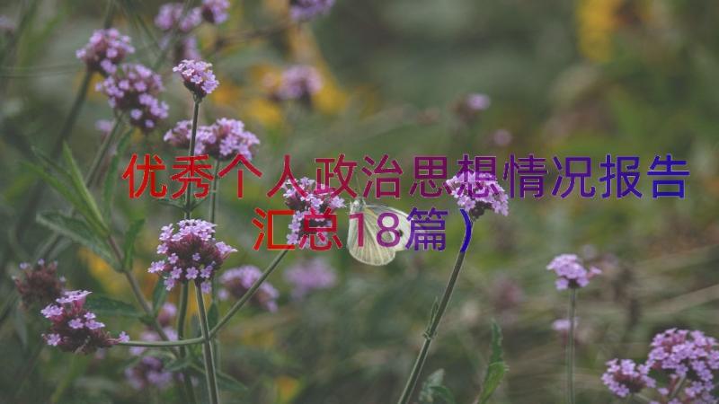 优秀个人政治思想情况报告（汇总18篇）