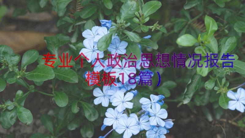 专业个人政治思想情况报告（模板18篇）