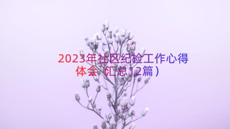 2023年社区纪检工作心得体会（汇总12篇）