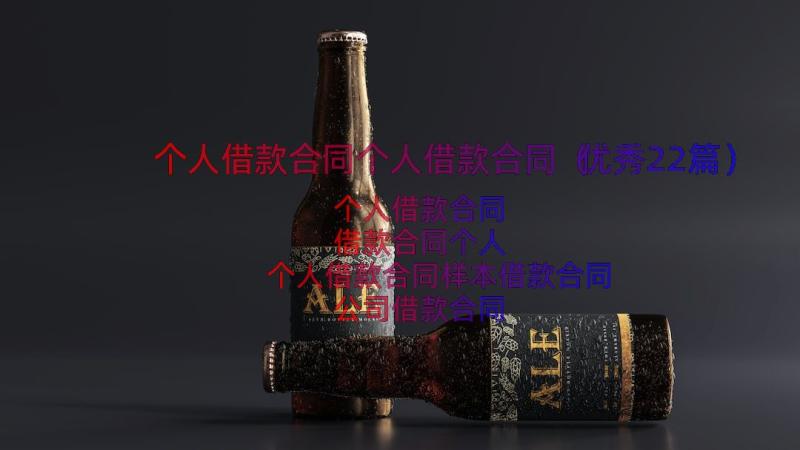 个人借款合同个人借款合同（优秀22篇）