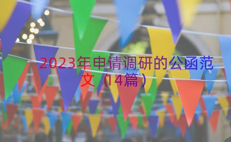 2023年申请调研的公函范文（14篇）