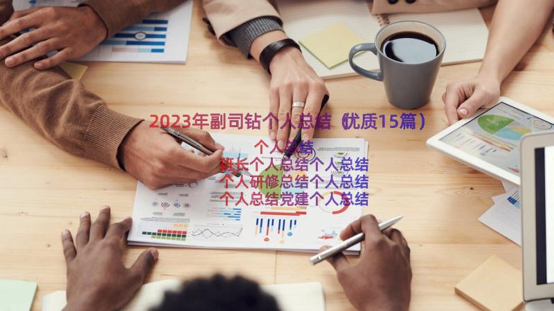 2023年副司钻个人总结（优质15篇）